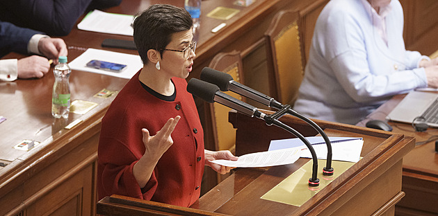 Richterová se ptá, zda Babišovi nevadí Juchelkův hlavní poradce z neziskovky