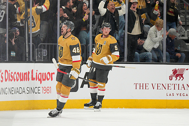 Hertl vyrovnal v 60. minutě, Pastrňák jistil výhru. Špaček prožil debut v NHL