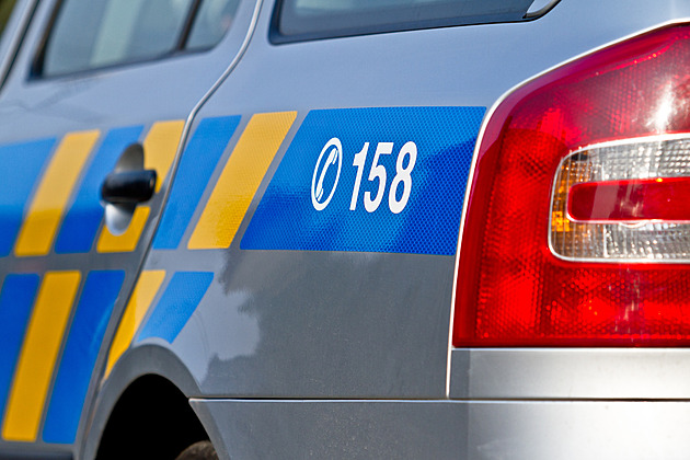 Ze křoví znělo volání o pomoc. Svědek překazil znásilnění dívky, útočníka zahnal