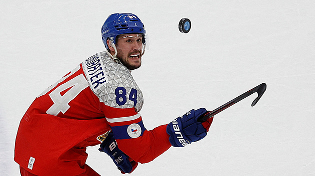 V hokeji či akrobatickém lyžování. Kteří olympionici z kraje můžou na hrách zazářit?