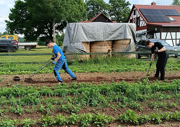 Na farmě u Hazlova děti zjišťují, že zelenina neroste v supermarketu