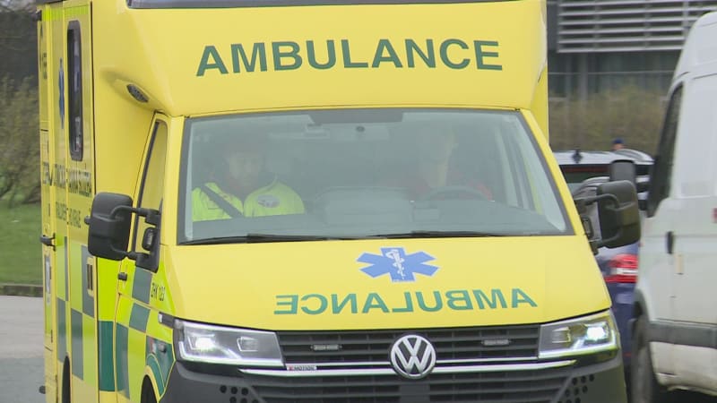 Smrtelná nehoda u Frýdku-Místku: Motorkářka narazila do stromu, bylo jí pouhých 18 let