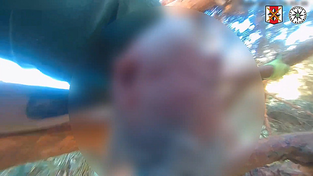 Bolí všechno. Zraněný muž visel na stromě hlavou dolů, policie ukázala jeho záchranu